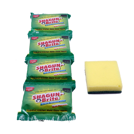 Shagun Spong 2 in 1